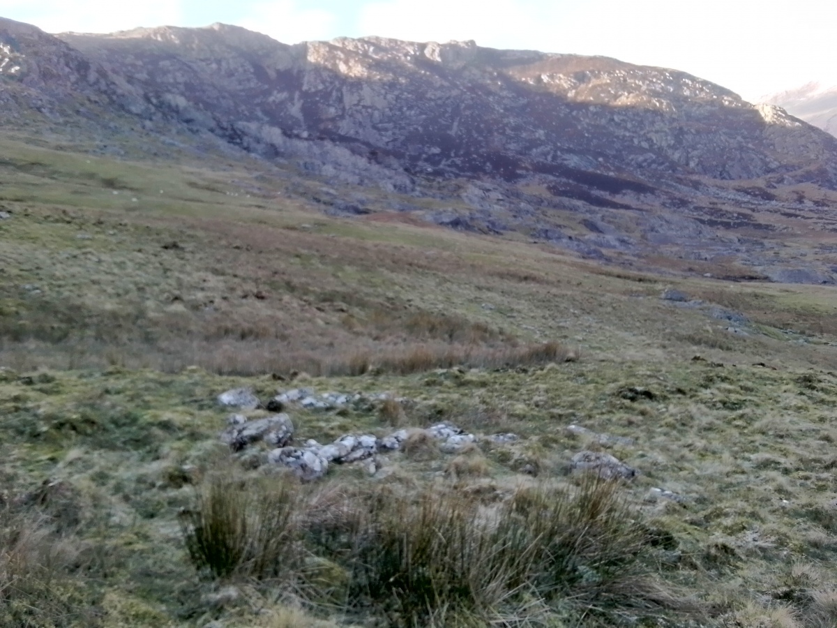 Nant y Gors Hut Circle Settlement
