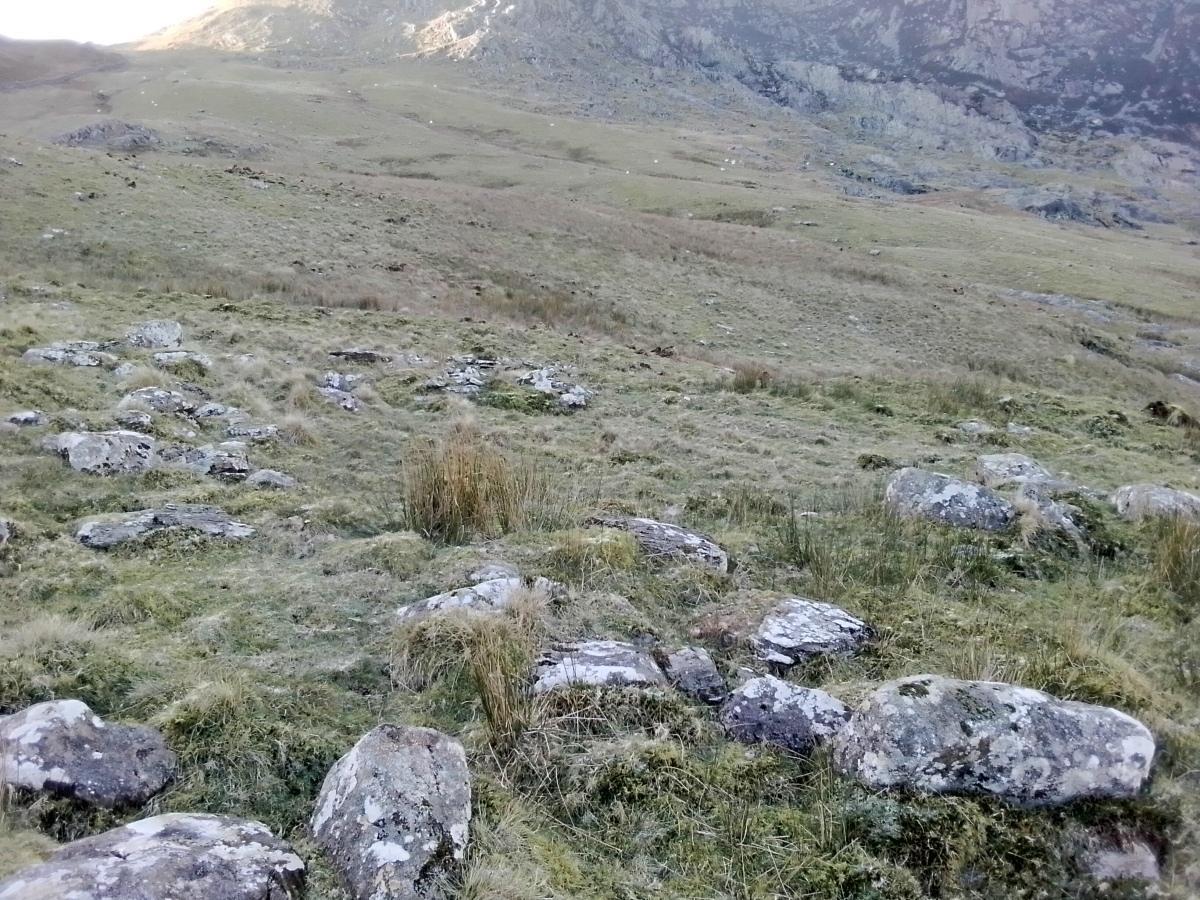 Nant y Gors Hut Circle Settlement