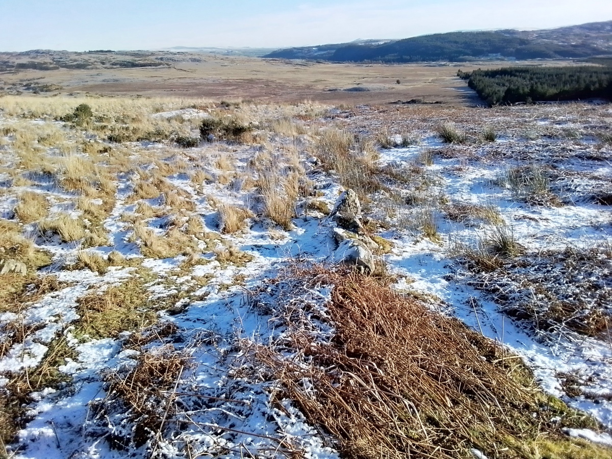 Line of boulders with the grassy mound left of centre and the hut circle site on the right.