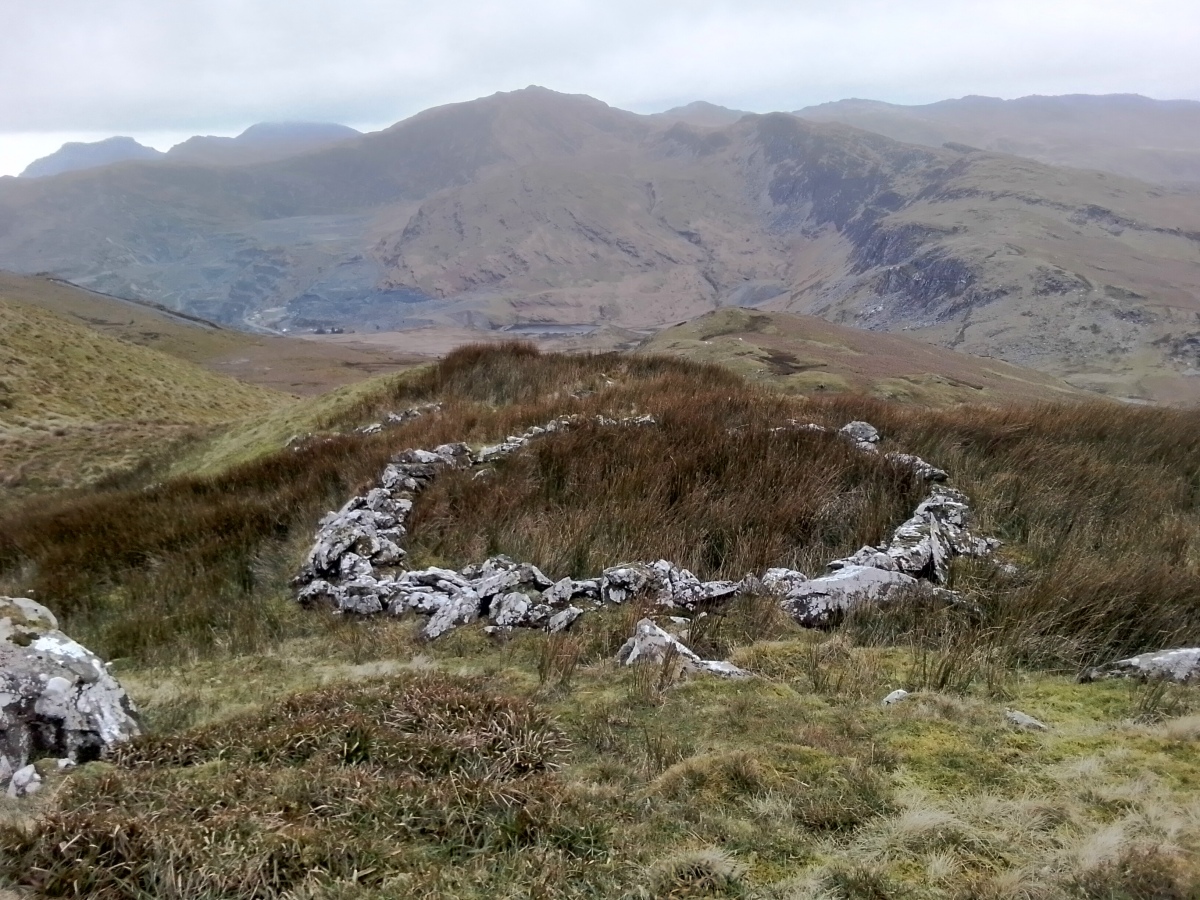 Moel Farlwyd Hut Circle (PID:268216) Moel Farlwyd Hut Circle