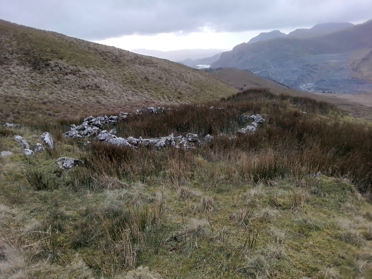 Click for full size image of Moel Farlwyd Hut Circle (PID:268214) Moel Farlwyd Hut Circle