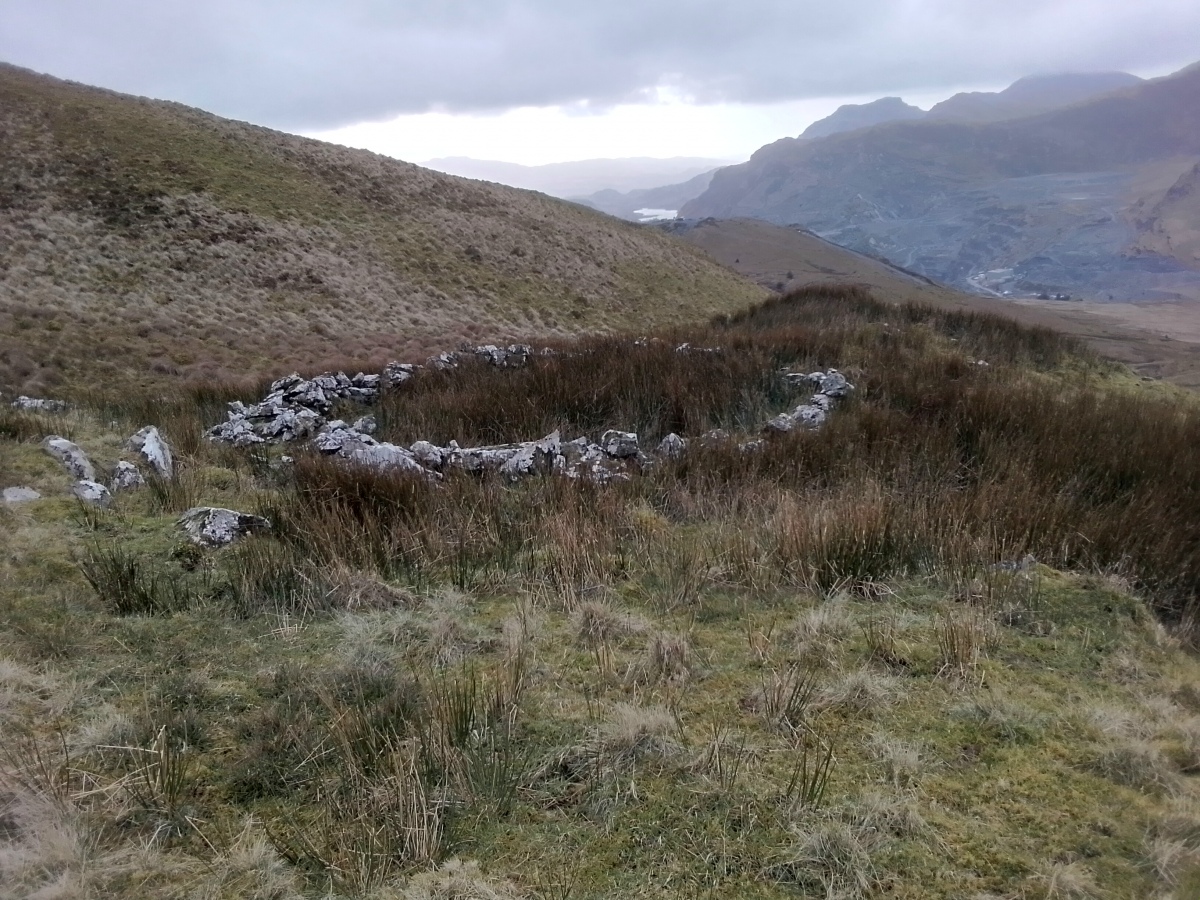 The hut circle with the Moelwyn mountains top right.