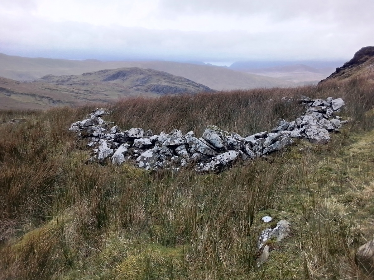 Click for full size image of Moel Farlwyd Hut Circle (PID:268218) Moel Farlwyd Hut Circle