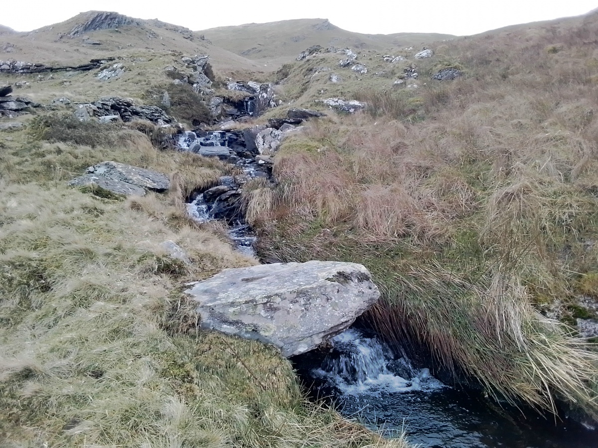 Click for full size image of Moel Farlwyd Hut Circle (PID:268217) Moel Farlwyd Hut Circle