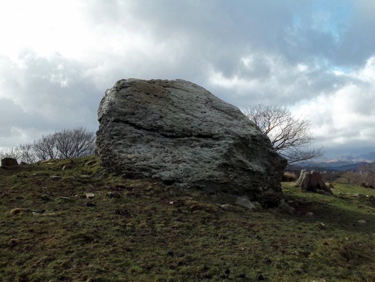 Ty'n-y-coed Stone