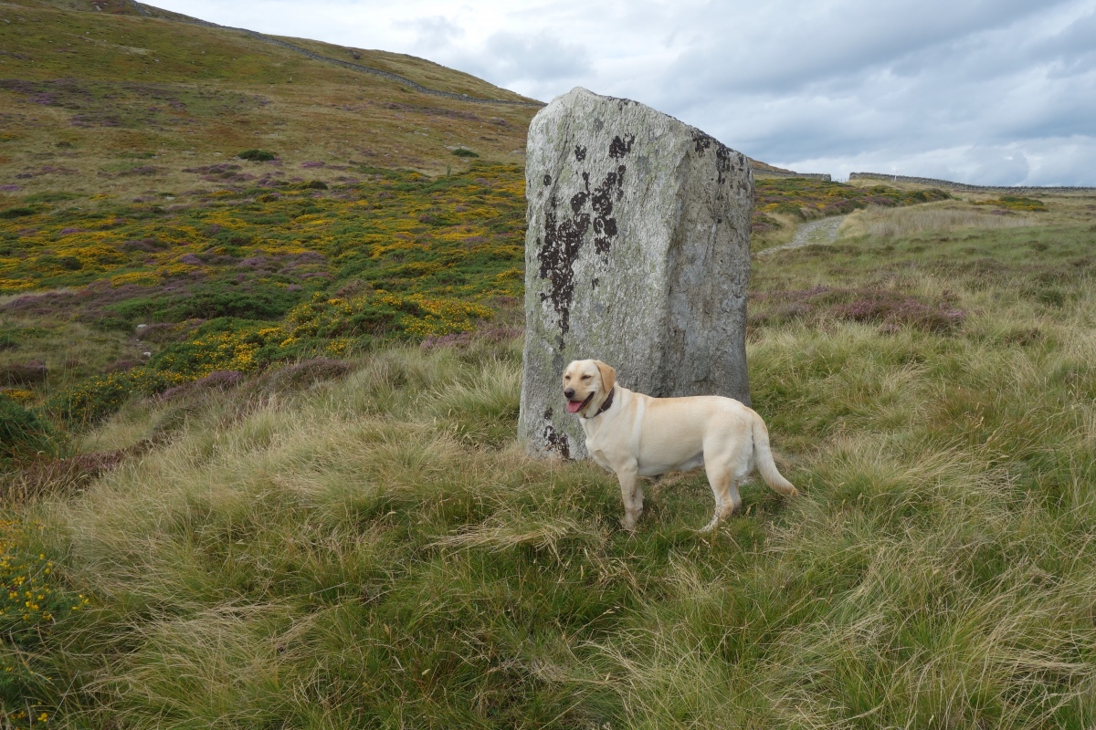Bwlch y Ddeufaen
