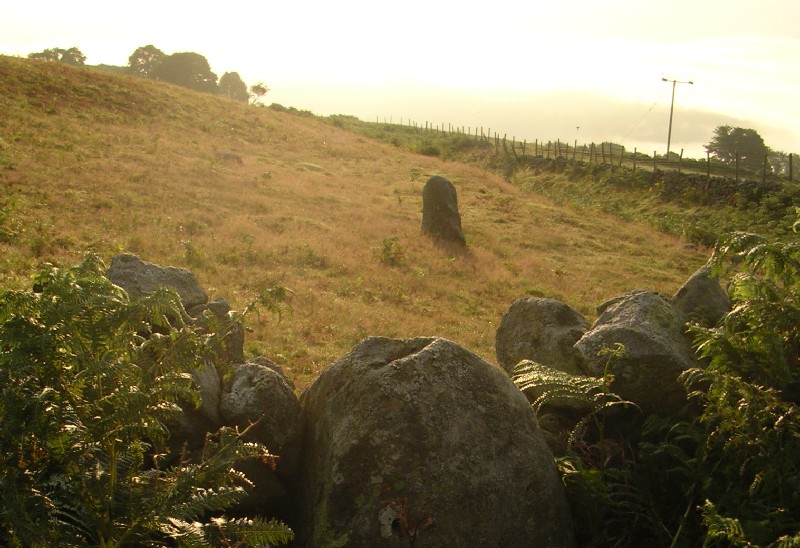 Caerhun Stones