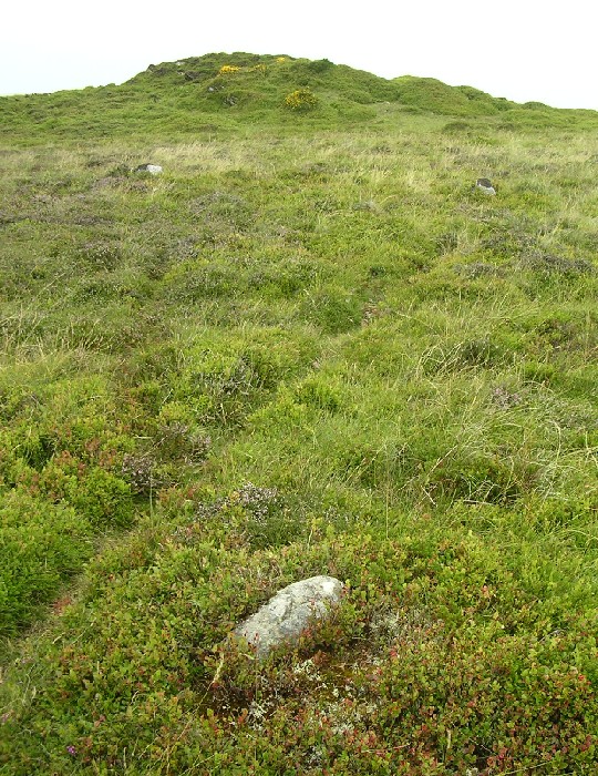 Cefn Maen Amor
