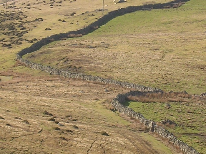 Cors Y Carneddau