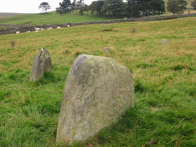 SH732750. Four remaining stones in a field Next to Red Farm.