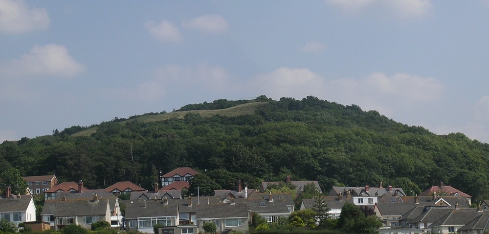 Bryn Euryn, site of the Iron Age hillfort, as seen from the north west; most people will see this briefly from the other side where the A55 skirts its densely wooded sides, and blackthorn scrub.