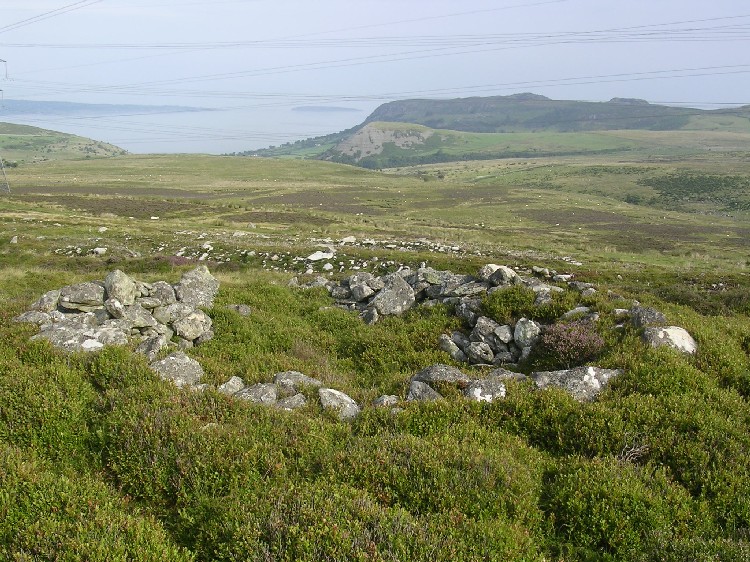 Llanerch Fedw