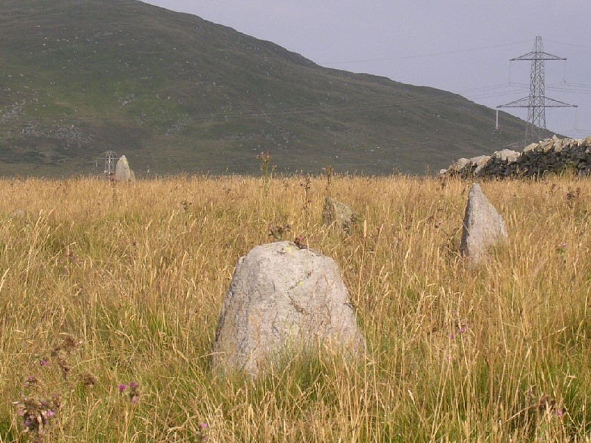 Cerrig Pryfaid