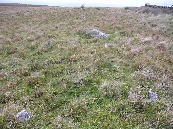 Hafod y Dre