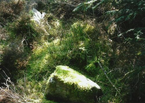 Click for the gallery page to add comments and vote (PID:102648) Hafod-y-llan Isaf Cairn Circle