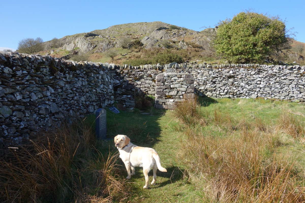 St Celynin's Well