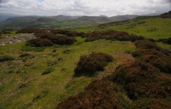 Caer Bach