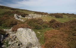 Caer Bach
