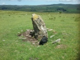 Cefnhirfynydd Uchaf Standing Stone - PID:259983