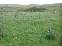Maes Merddyn Ring Cairn 1
