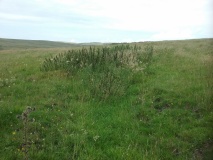 Ffridd Can Awen Cairn