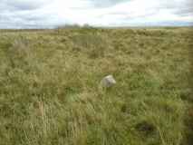Cefnen Wen Cairn Field
