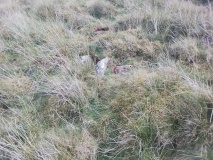 Bryniau Duon Cairn on Hiraethog Trail