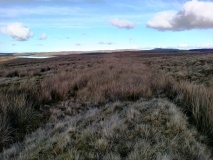 Lon Bwlch y Garnedd Trackway