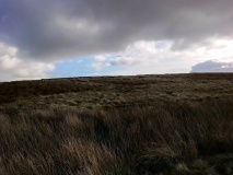 Lon Bwlch y Garnedd Trackway