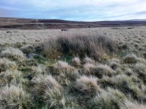 Bwlch y Garnedd Hut Circle