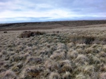 Bwlch y Garnedd Hut Circle