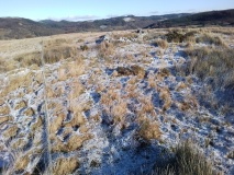 Cefn Glas Round Cairn