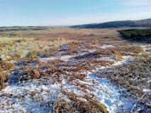 Cefn Glas Hut Circle Settlement