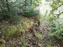 Ty'n y Ddol Hut Circle Settlement