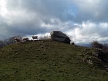 Ty'n-y-coed Stone