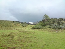 St Celynin's Well