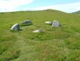 Circle 275