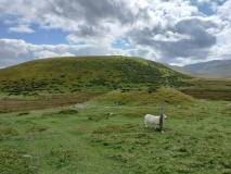 Graig Lwyd Cairns