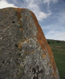 Cae Coch