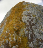 Cae Coch