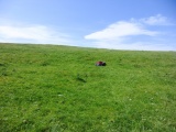 Pen-y-Corddyn-Mawr