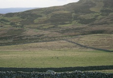 Red Farm