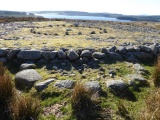 Brenig 51 - PID:194370