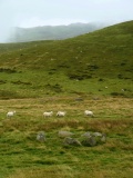 Graig Lwyd Cairns