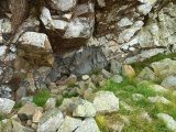 Graig Lwyd Neolithic Axe Factory