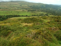 Pen-y-Gaer (Conwy)
