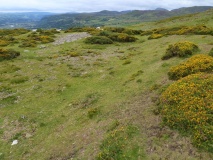 Caer Bach