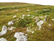 Fairy Glen Settlement