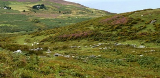 Fairy Glen Settlement
