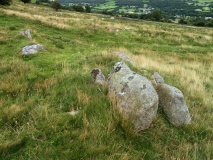 Pen y ffridd Farm Hut Circles